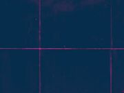 HYPNOCYPHER TECHNOLOGIC SISSY