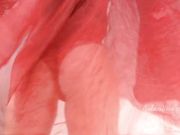 Goddess Alexandra Snow — Red Lace Bodysuit