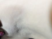 Princess Lacey – Focus On My Pits