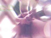 PMV TRANS SHOWCASE VOL. 1