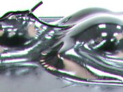 YOU WANT TO BE CONFUSED VOL. 4