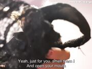 Nadya Zabava - Pathetic Toilet Slave, Swallow It All, Now¡ Femdom Joi,cei