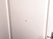 23-11-2020_Pizza_Delivery (1)