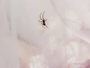 Belle Delphine - Spooky Spider (1)