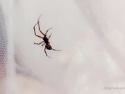 Belle Delphine - Spooky Spider (1)