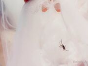 Belle Delphine - Spooky Spider (1)