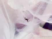 Belle Delphine - Spooky Spider (2)