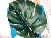 Belle Delphine - Zelda (3)