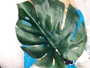 Belle Delphine - Zelda (3)