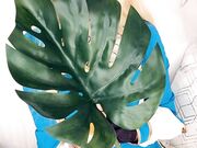 Belle Delphine - Zelda (3)