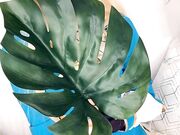 Belle Delphine - Zelda (3)