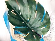 Belle Delphine - Zelda (3)