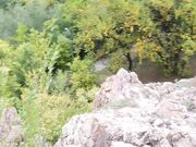 CaraDay - 2019 Sexy Shorts, Lil Bit Of Everything