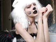 Mohawk Molly -  good kitty