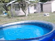 Mohawk Molly -  public play outside