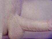 MollyRedWolf - Judy Hopps Asked Nick To Fuck Her