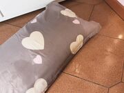 PuppyGirlfriend - Bad Puppy Girl Humps A Pillow And Pees