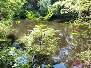 Cherry Fae - Cumming Out of Quarantine