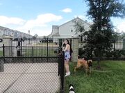 Thegorillagrip - Dog Park Blowjob