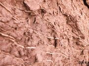 DreadHot - Porn On World's Most Arid Desert Plog 1