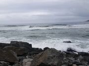 DreadHot - Public Blowjob At Beach In Rio