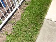 Jayden Black - GF Revenge