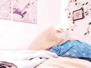 Eevee Frost cumshow squirt