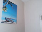 Sunny Lane - CamShow