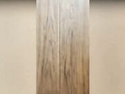 PMV Mega Nymphomania