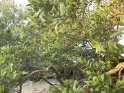 [AddMia.com] Mia Melano - Photo Shoot Turned Naughty Part 2