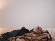 Jaybbgirl - College Sleepover