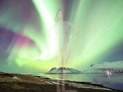 Stella Cardo amazing