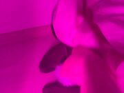 Girly pet and his mistress