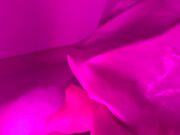 Girly pet and his mistress