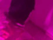 Girly pet and his mistress