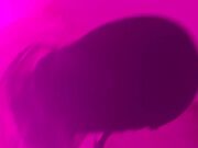 Girly pet and his mistress