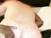 White Brunette Girl Rides Black Cock