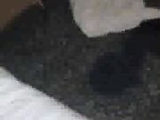 Amateur wife gets first bbc and she loves it