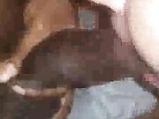 Amateur wife gets first bbc and she loves it