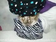 Cheating wife fucks black man for the first time