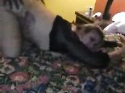 pregnant white girl gets railed by bbc