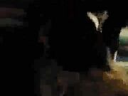 Having fun with my wife and my friend in a hotel