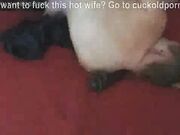 Chubby amateur Milf in homemade hardcore action