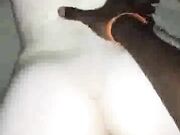 White Wife gets Black Bred