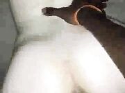 White Wife gets Black Bred