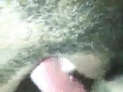 Getting Intimate With Some New Lovers Making Deep Love