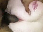 Swinger Wife Fucks Three Guys At Once While Hubby Watches