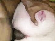 Swinger Wife Fucks Three Guys At Once While Hubby Watches