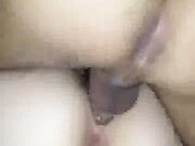 dirty white wife got a hard breeding session