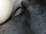 Your HOT wife fucks her BBC lover front of you! PART 2